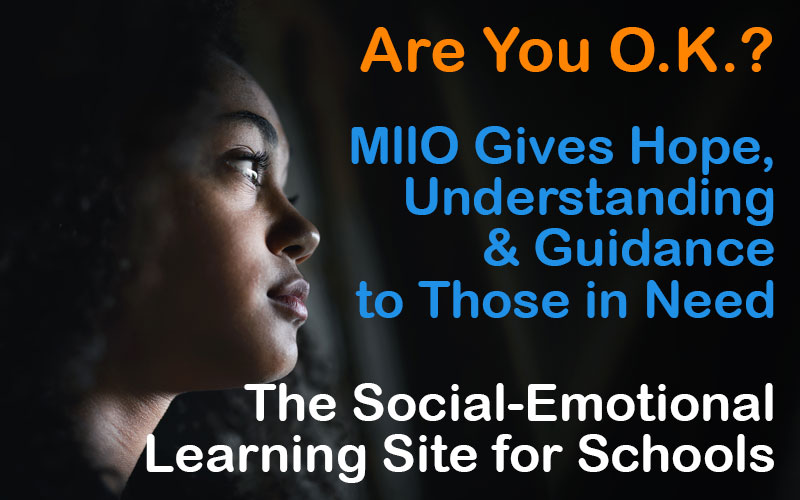 social emotional learning toolkit for schools